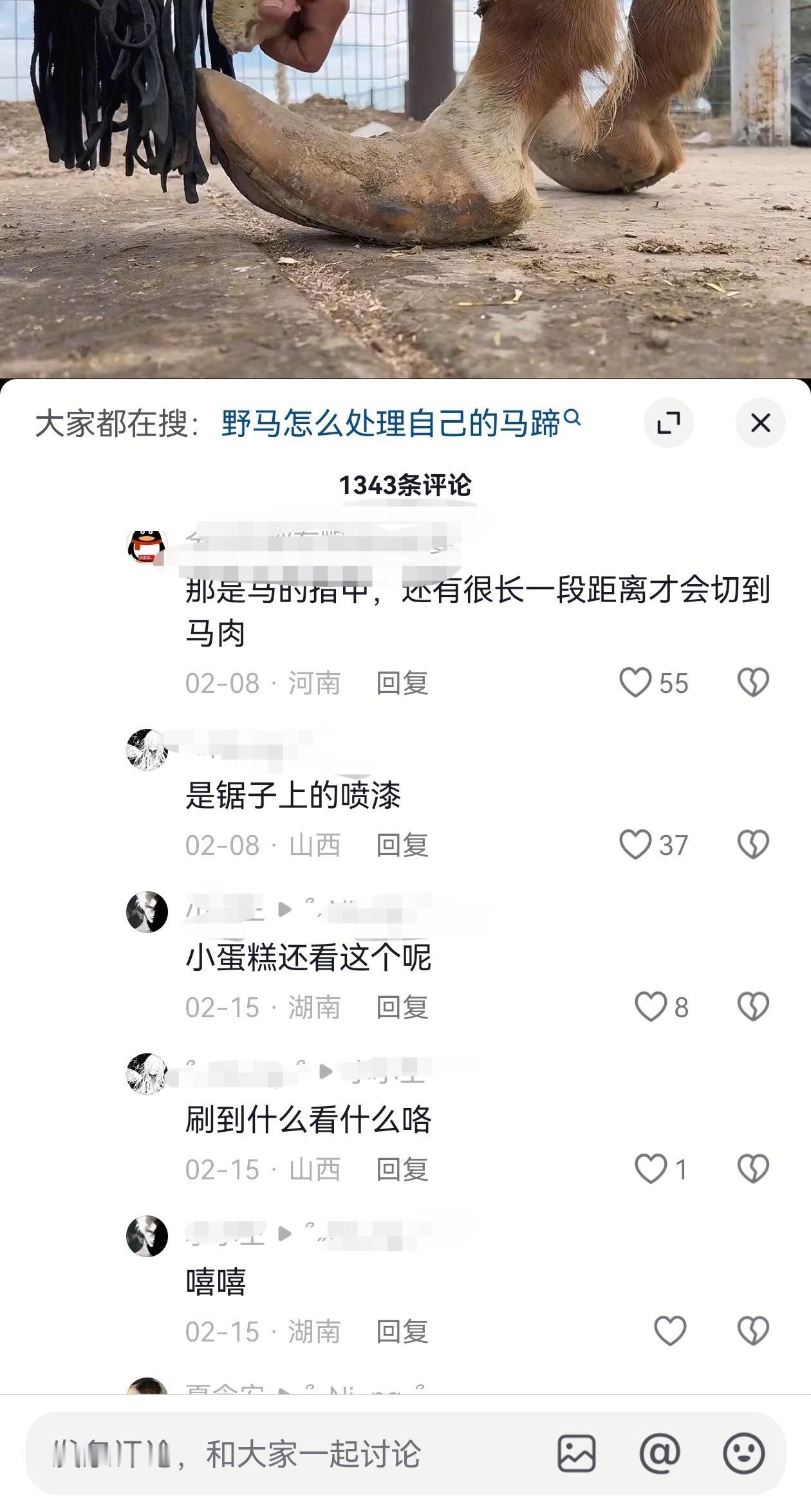 这只是一个修马蹄视频。 