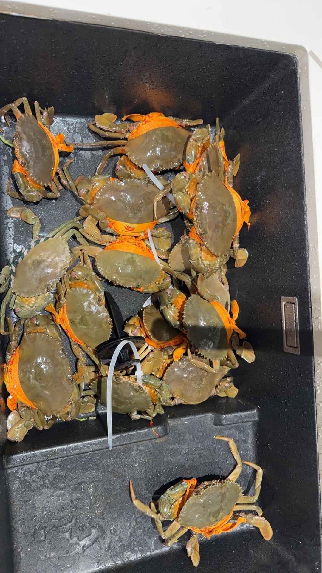 有一些快乐时不我待