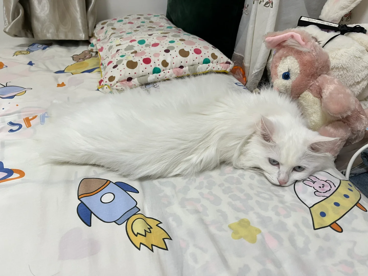 扭扭猫