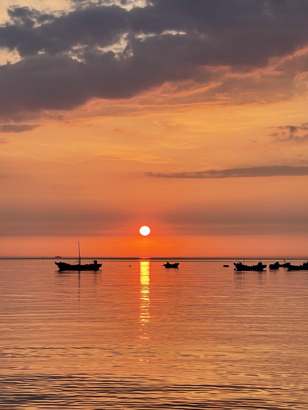 幸福从不是轰轰烈烈的奔赴，
而是藏在日常里的细碎温暖。
是晨起的一杯温水，
是午
