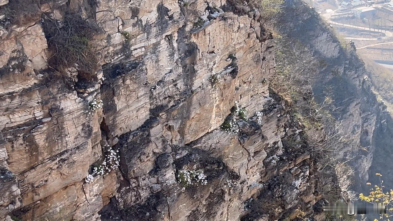 千万注意！进山徒步爬山，这个不要动，小心被拘！
最近越来越多的人开始喜欢到山里徒