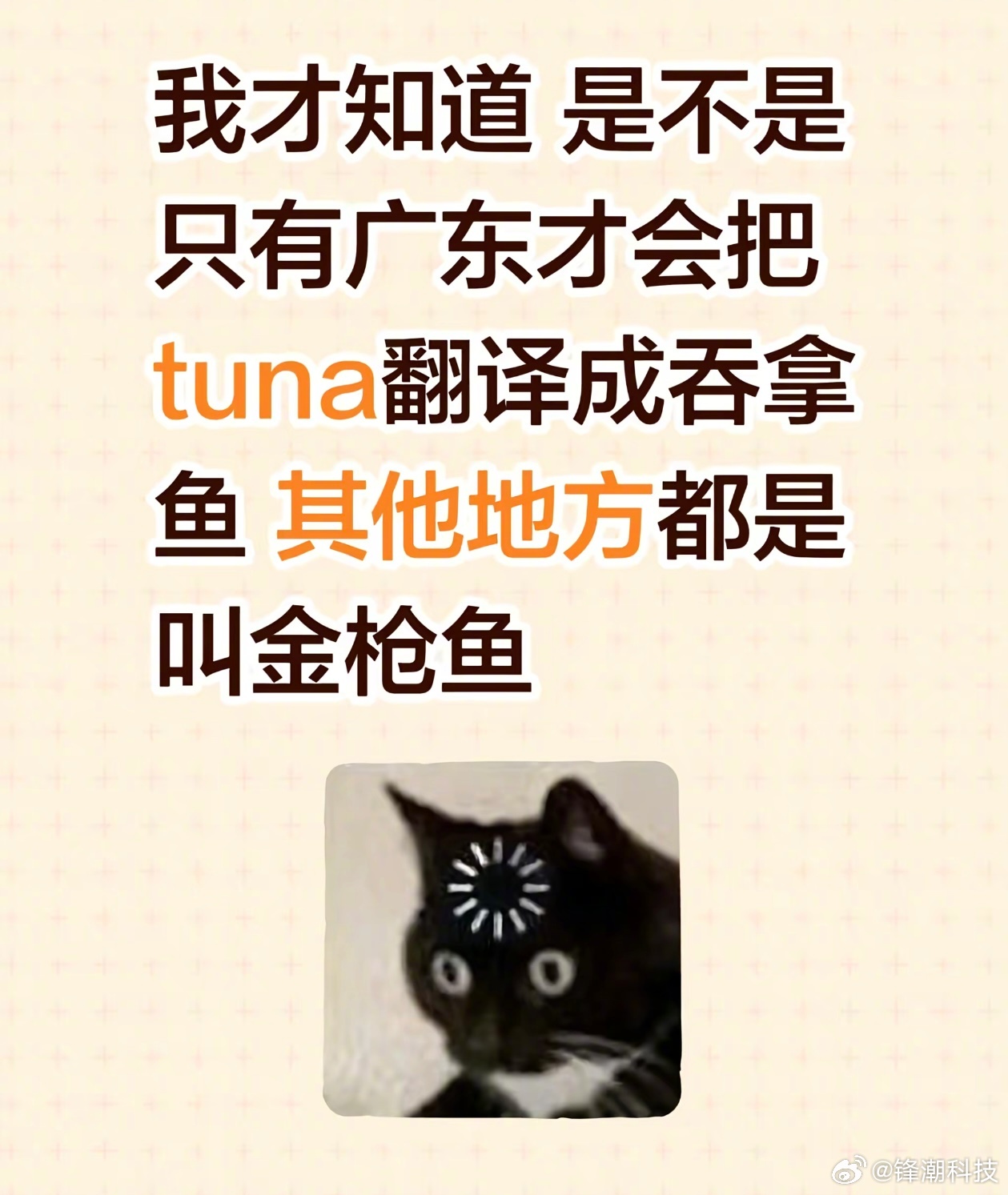 你猜猜在广东草莓叫什么。[喵喵] ​​​
