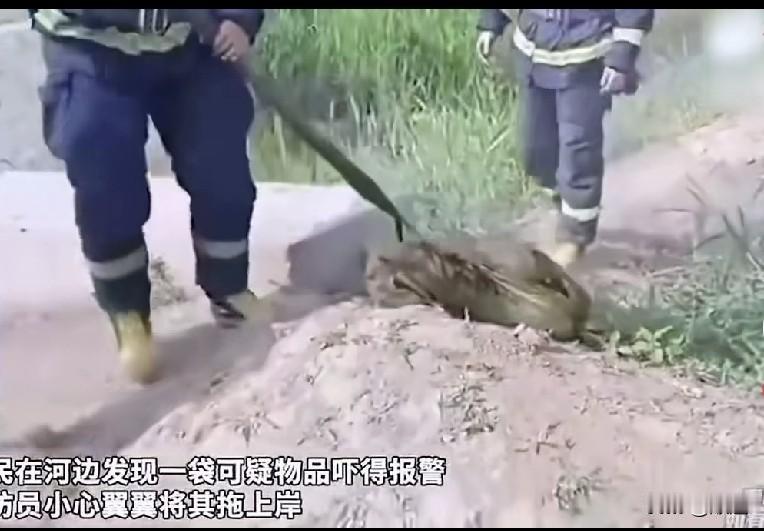 村民在河边发现可疑物品，赶紧报警。
待消防员将尼龙丝袋钩上岸后，所有人心都提到了