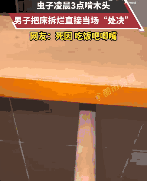 士可忍孰不可忍！广东，一男子凌晨三点正在睡觉，突然听到“嘎吱嘎吱”的异响，男子强