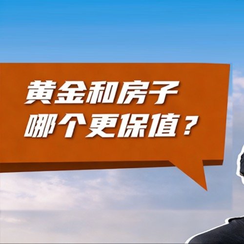黄金和房子买哪个更保值黄金长期都是全球首选避险资产，黄金几乎可在全球变现。 