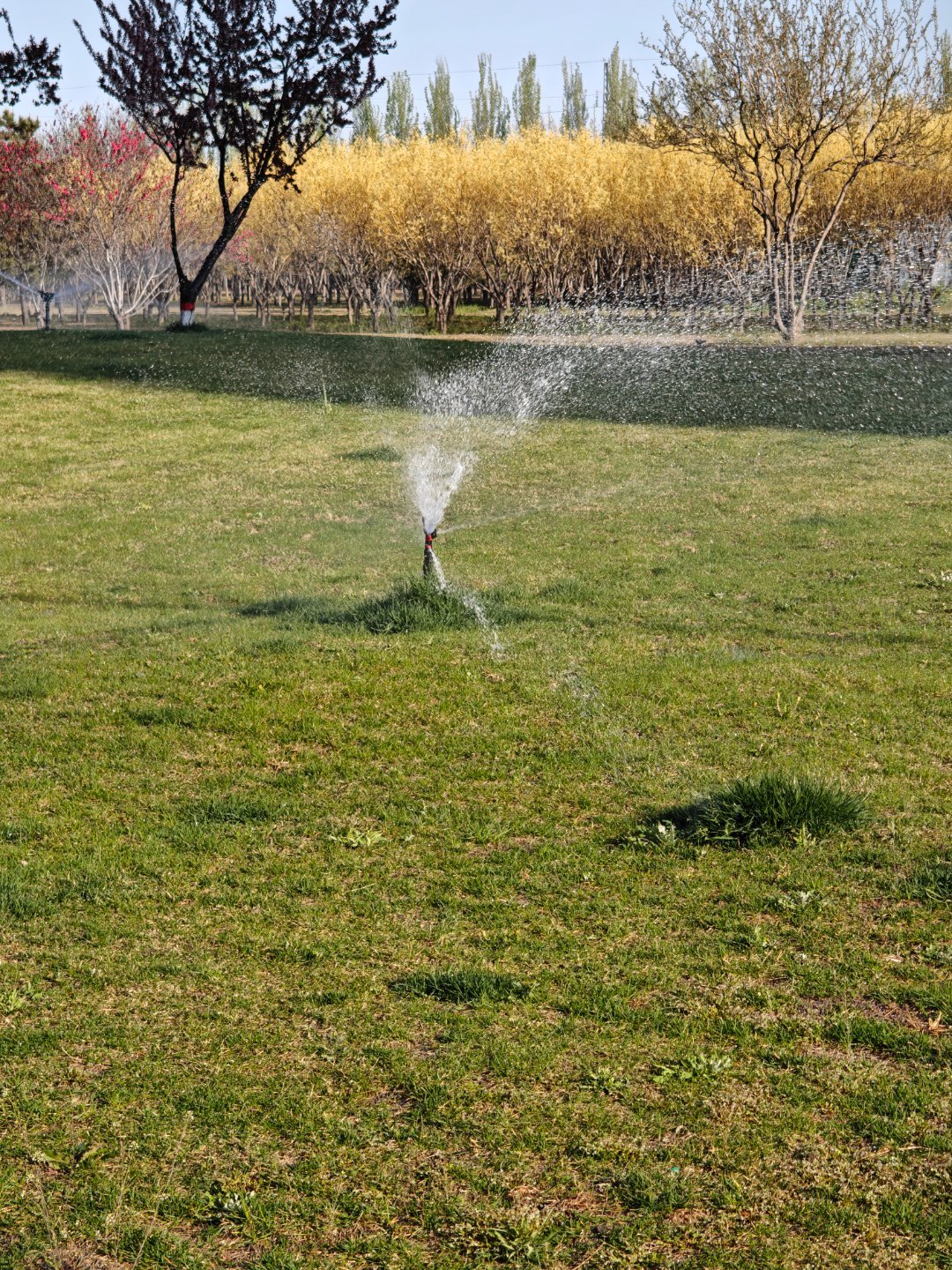 vivo 新的一天，又是忙碌的一天，形形色色的人都在不停的奔波。对大家说一声：早