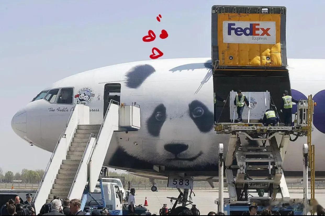丫丫终于回国了，祖国才是你温馨的家！
真的是回家的路好难，
去年这个时候关注丫丫