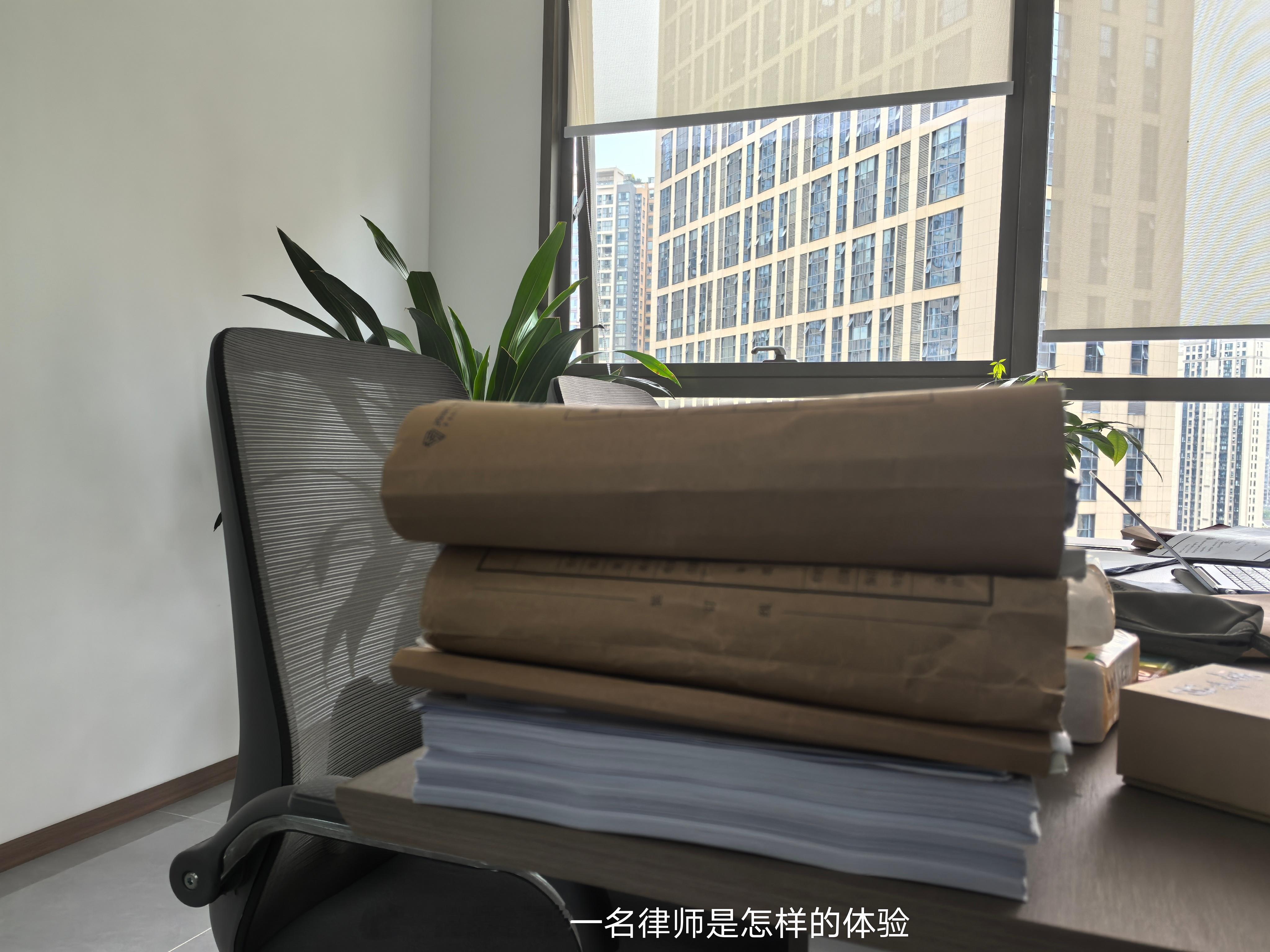 带着一个装饰装修合同纠纷案件的卷宗去开庭，我们作为一审本诉被告、反诉原告，不服一