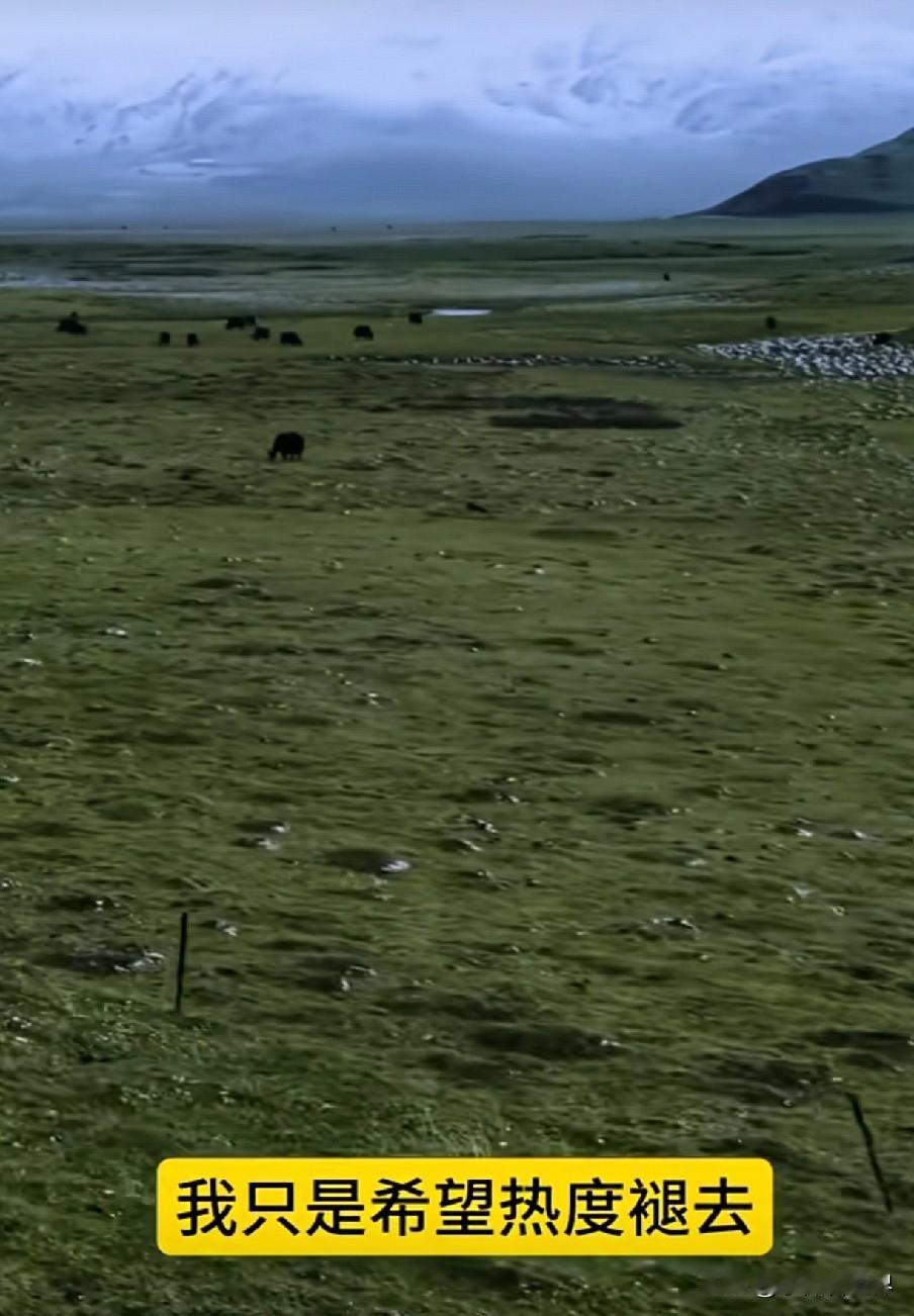 李微漪发声了！大清早刷到李微漪在说希望热度降下来！

原来她当初让故事热，是为传