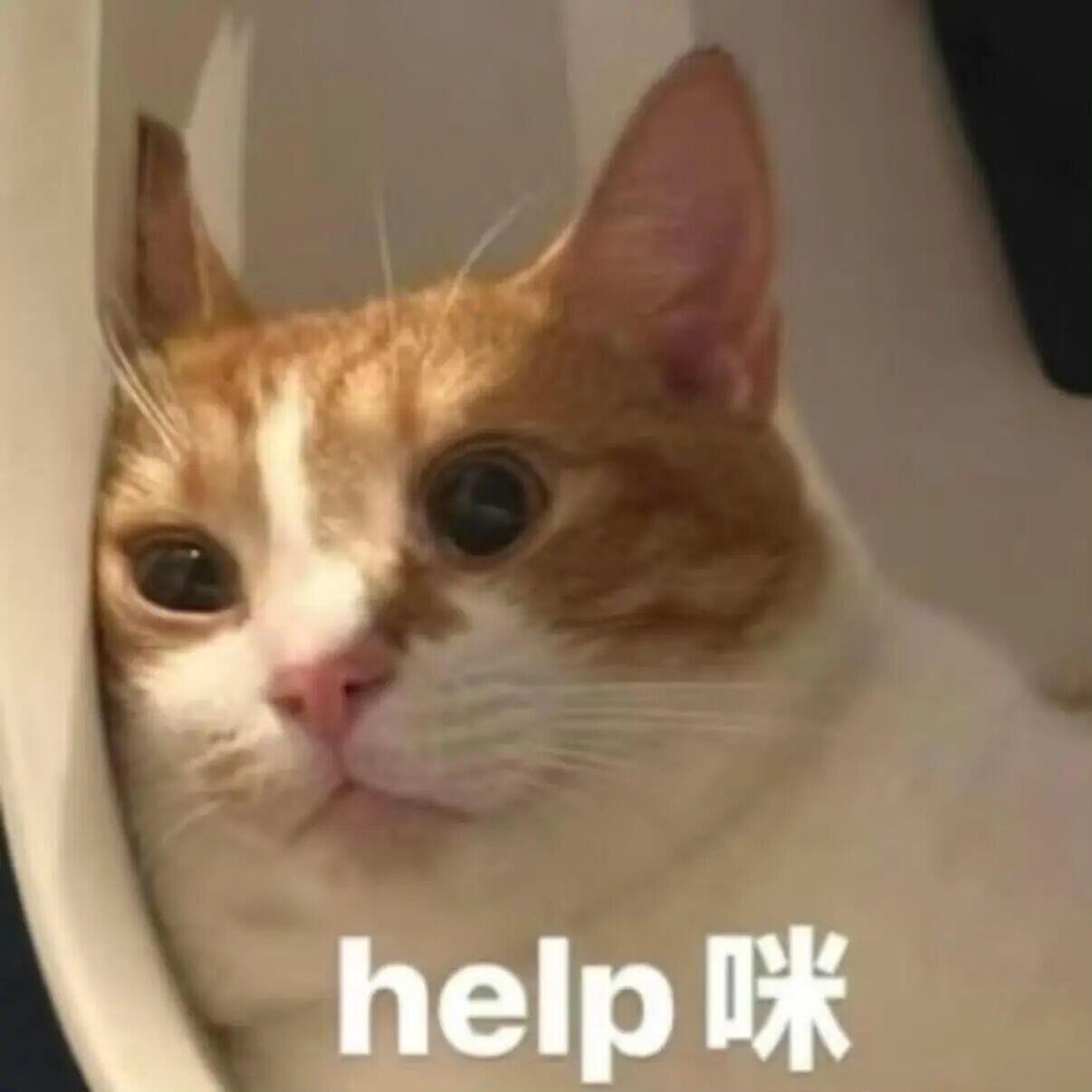 已经晕艿苟…… 