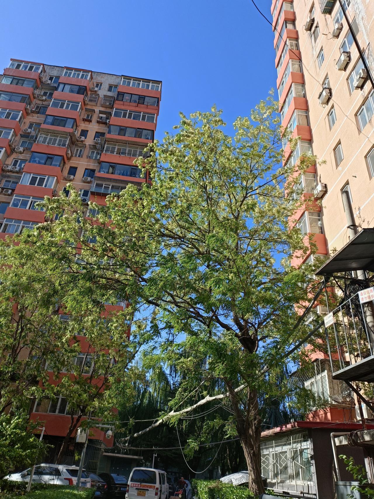 晒图笔记大赛今天阳光很足，但风很大，出门的人要格外注意安全