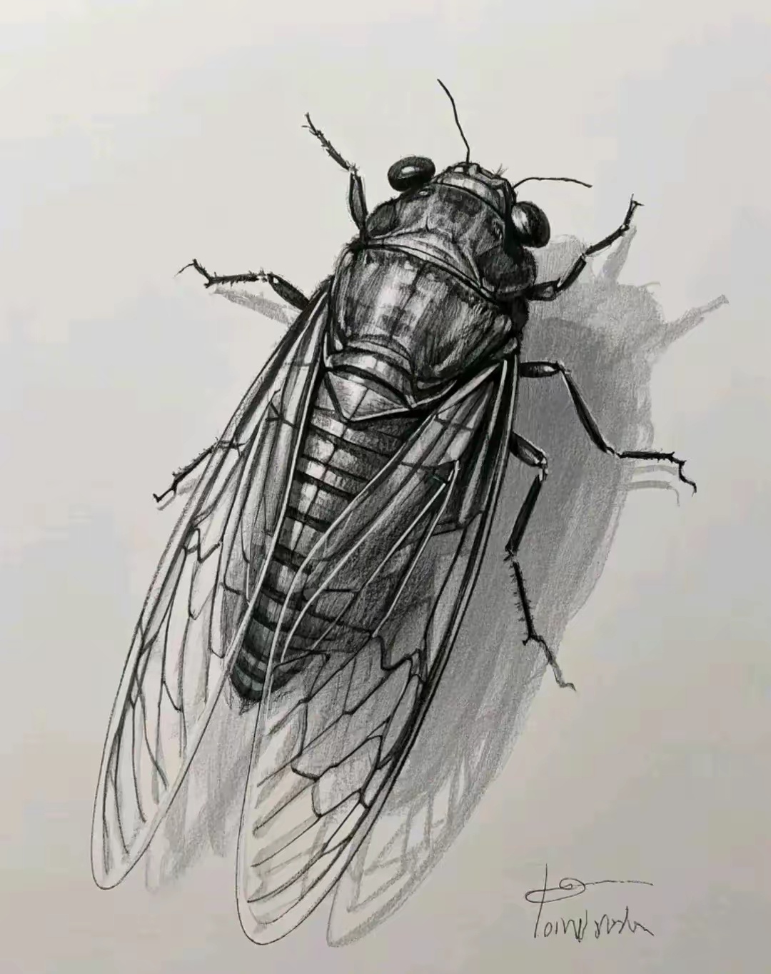 这画功比齐白石如何？ 