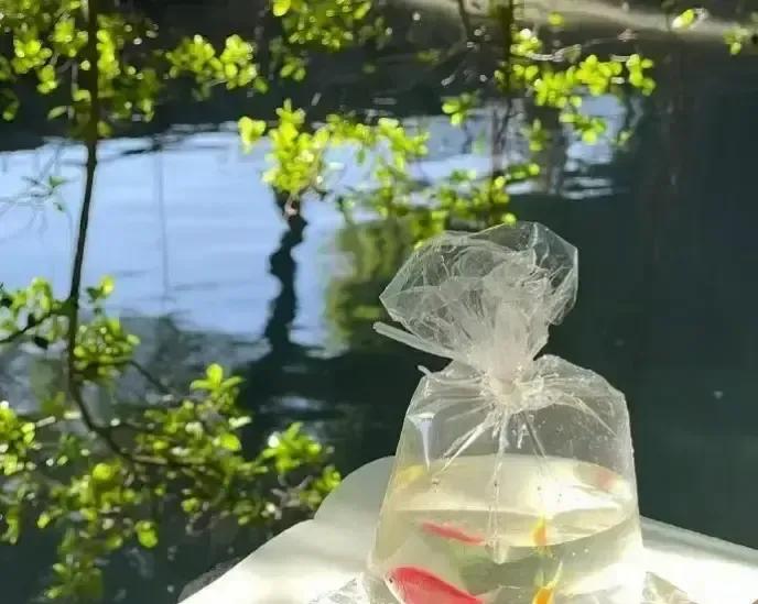 协和开了个生育心理门诊，我第一反应是终于有人把“想生”和“能生”拆开聊。
报告说