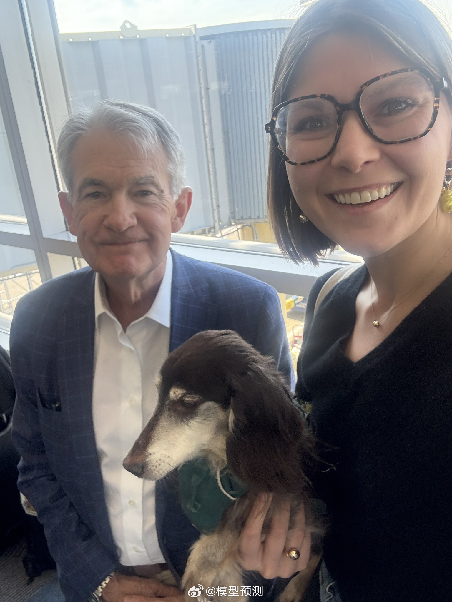 狗都不爱搭理鲍威尔！ 