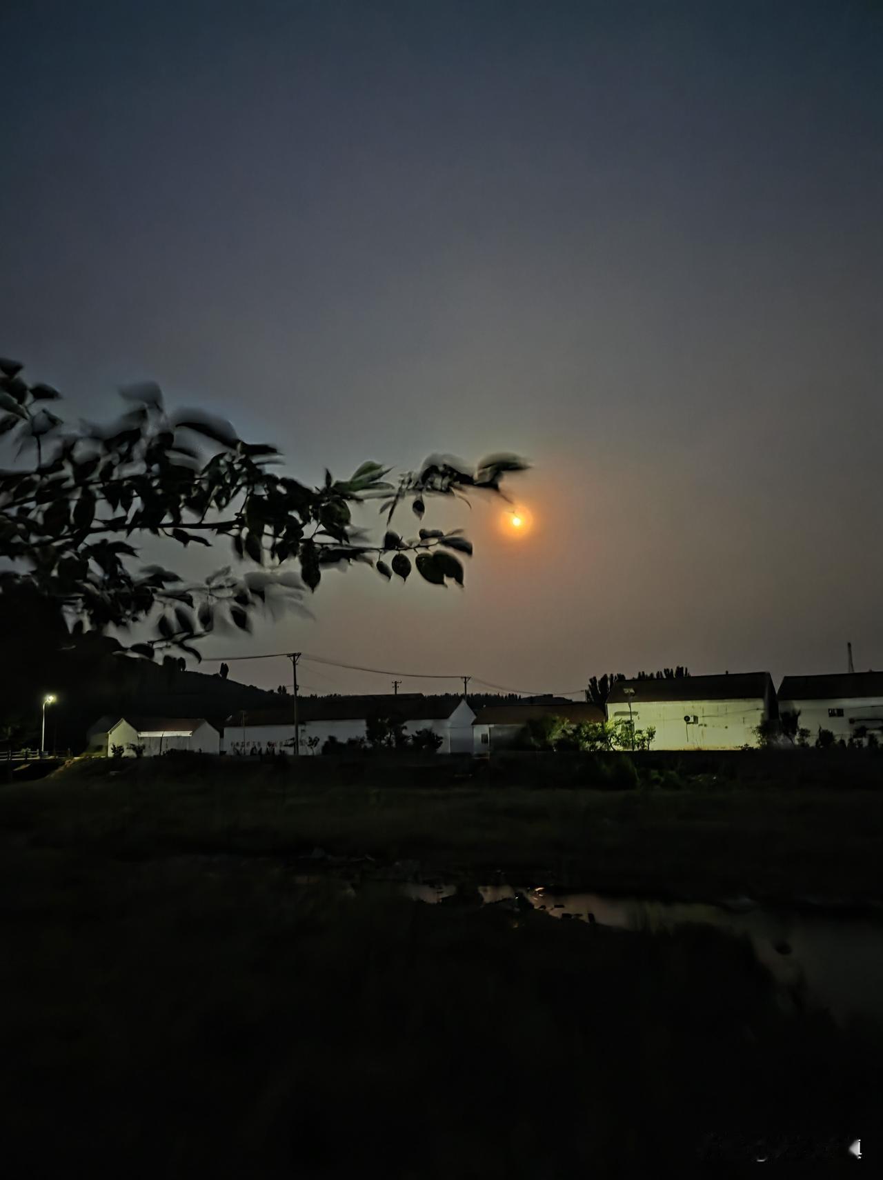 男子在家裸体行走忘拉窗帘，被女邻居拍照发几百人业主群提醒，我觉得她这不是好心，纯