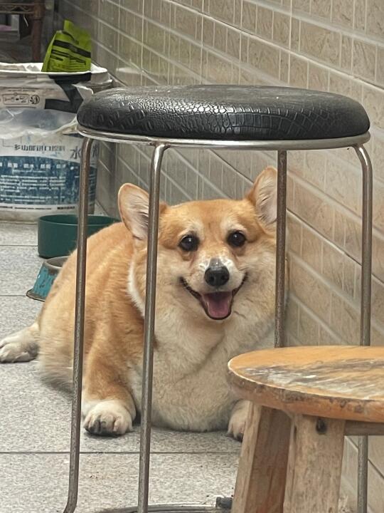 人，你回来啦！？