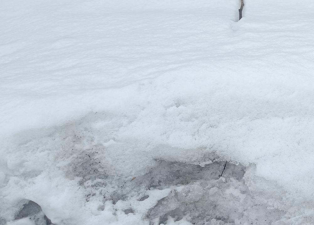 乌克兰应该得到防空导弹援助。乌克兰被人忽悠，打了四年，似乎又回到了原点，加入北约