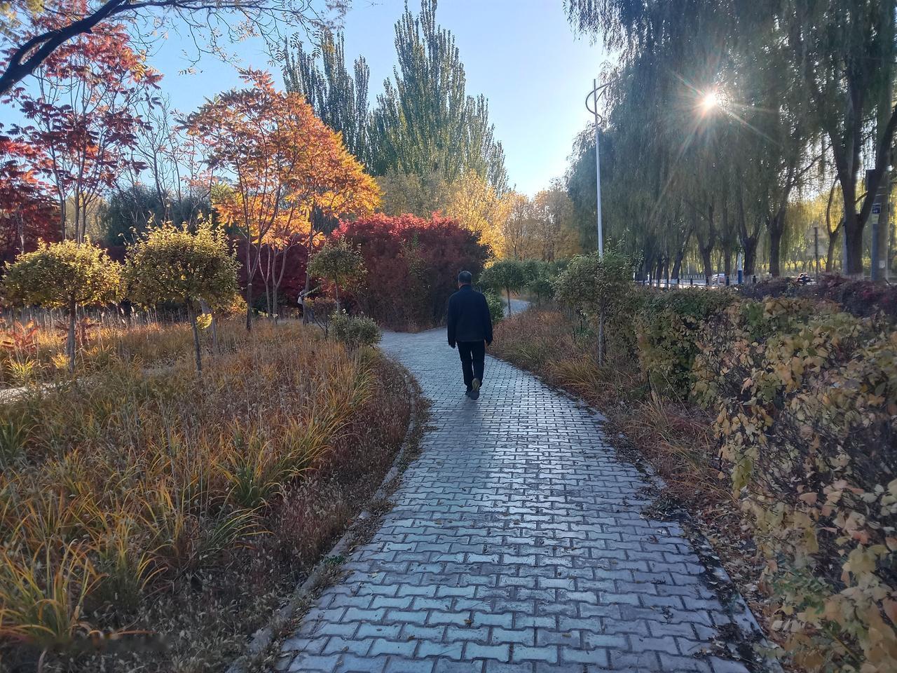 秋裤预警！衣柜里的"前任"们又见面了
 
今早翻衣柜，发现去年的秋裤还带着火锅味