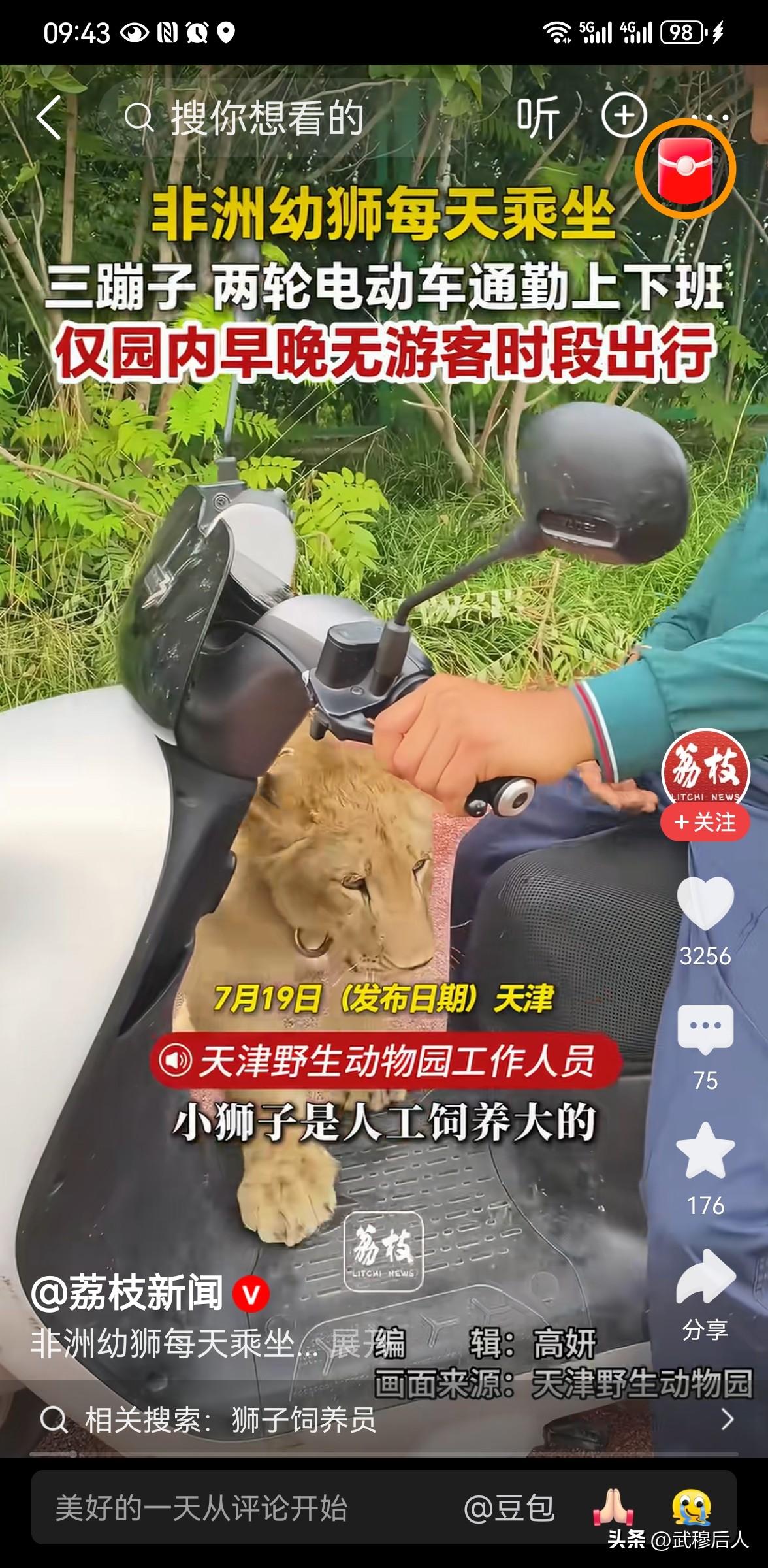 动物园非洲幼狮每天坐三蹦子上下班
天津野生动物园的非洲幼狮每天乘坐三蹦子或两轮电