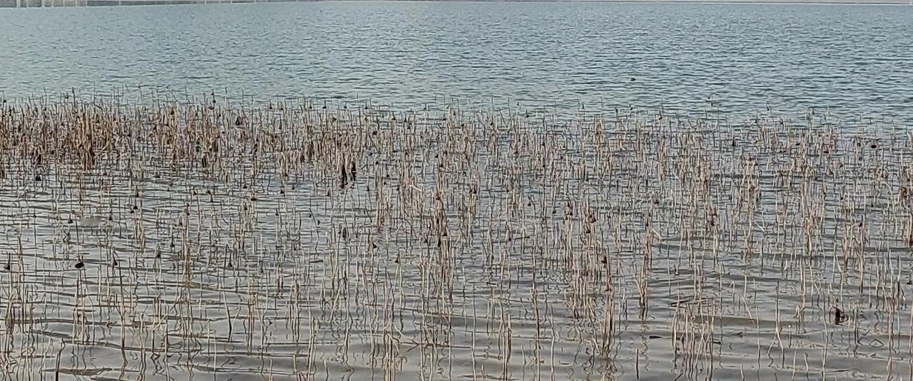 演习须持续，间隔短地持续几次，警示效果出来了，预期目的也就达到了。