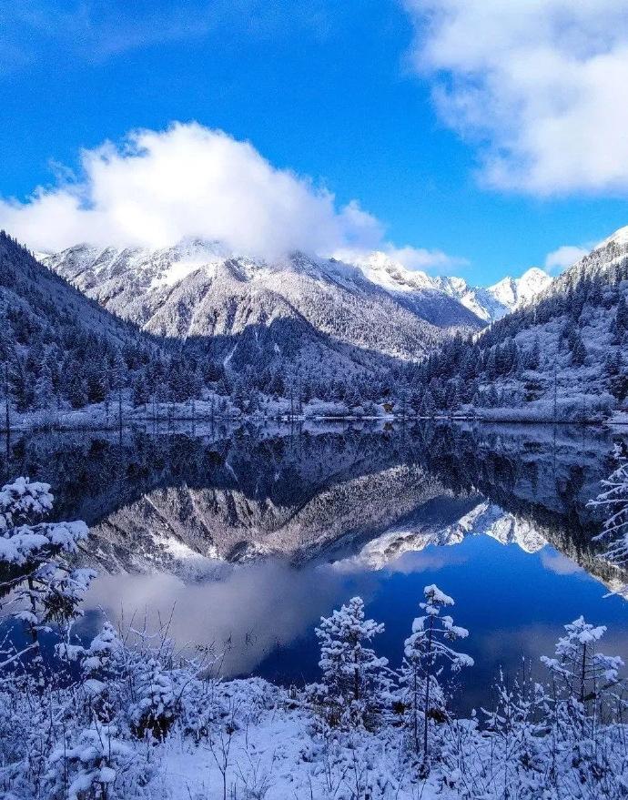 若尔盖县的冬天，是一场藏在高原深处的白色童话，雪落无声，却美得惊心动魄。

若尔
