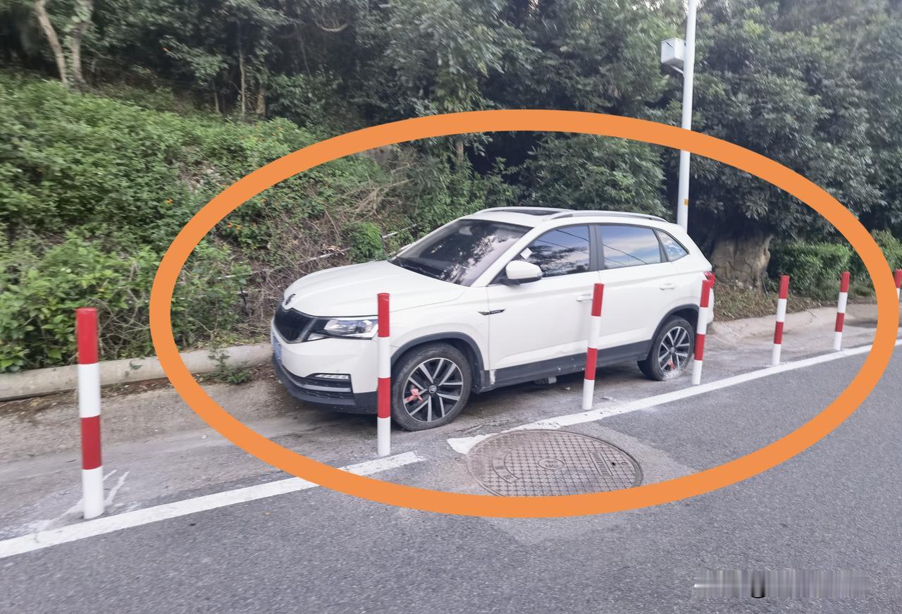 咋办？车怎么出来，东山水库周边沿路内沿设护栏，就是为了防止随意停车。可能在安装护