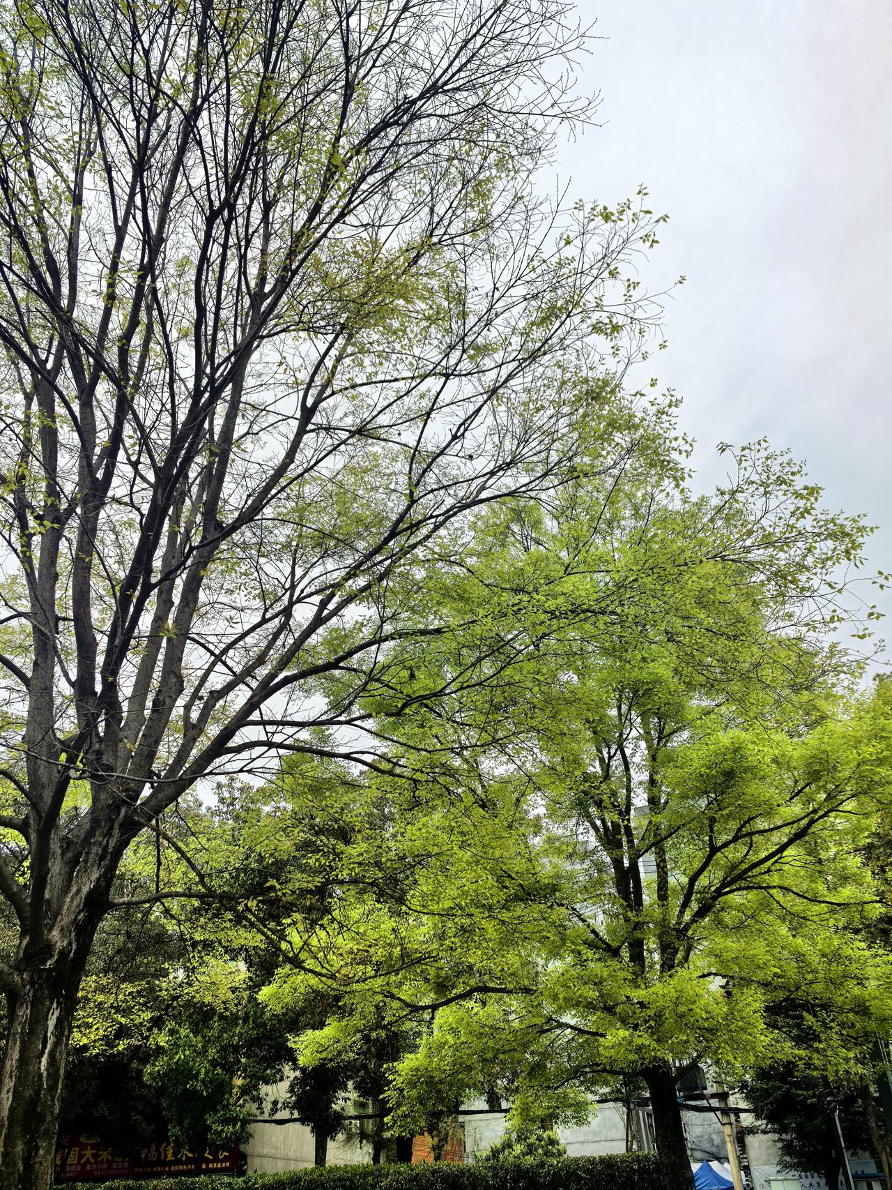 愿往后日子，抬头有喜，步步安康。