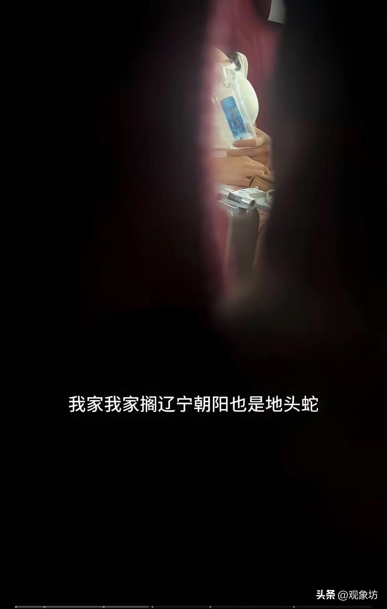 高铁上大声喧哗反骂乘客没眼力见，辽宁朝阳“地头蛇”好大的官威！

坐个高铁，硬是
