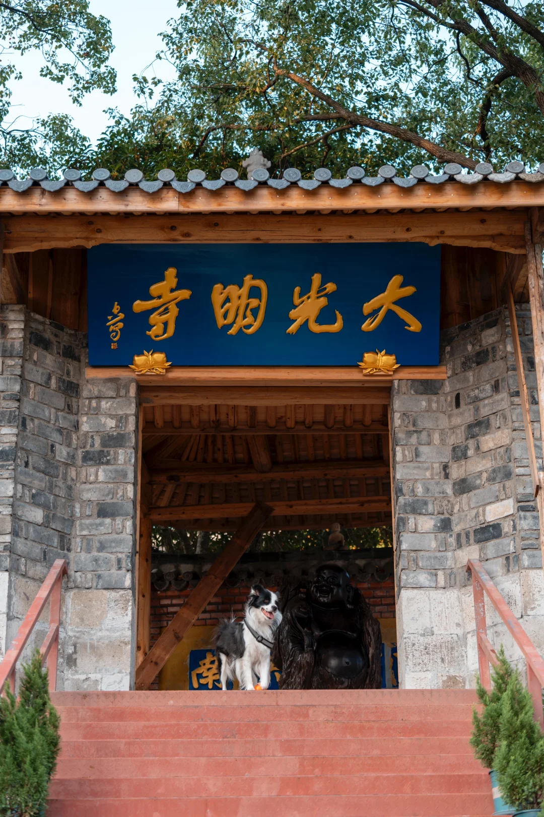 椒江凤凰山光明寺，一个你不知道的宝藏地方