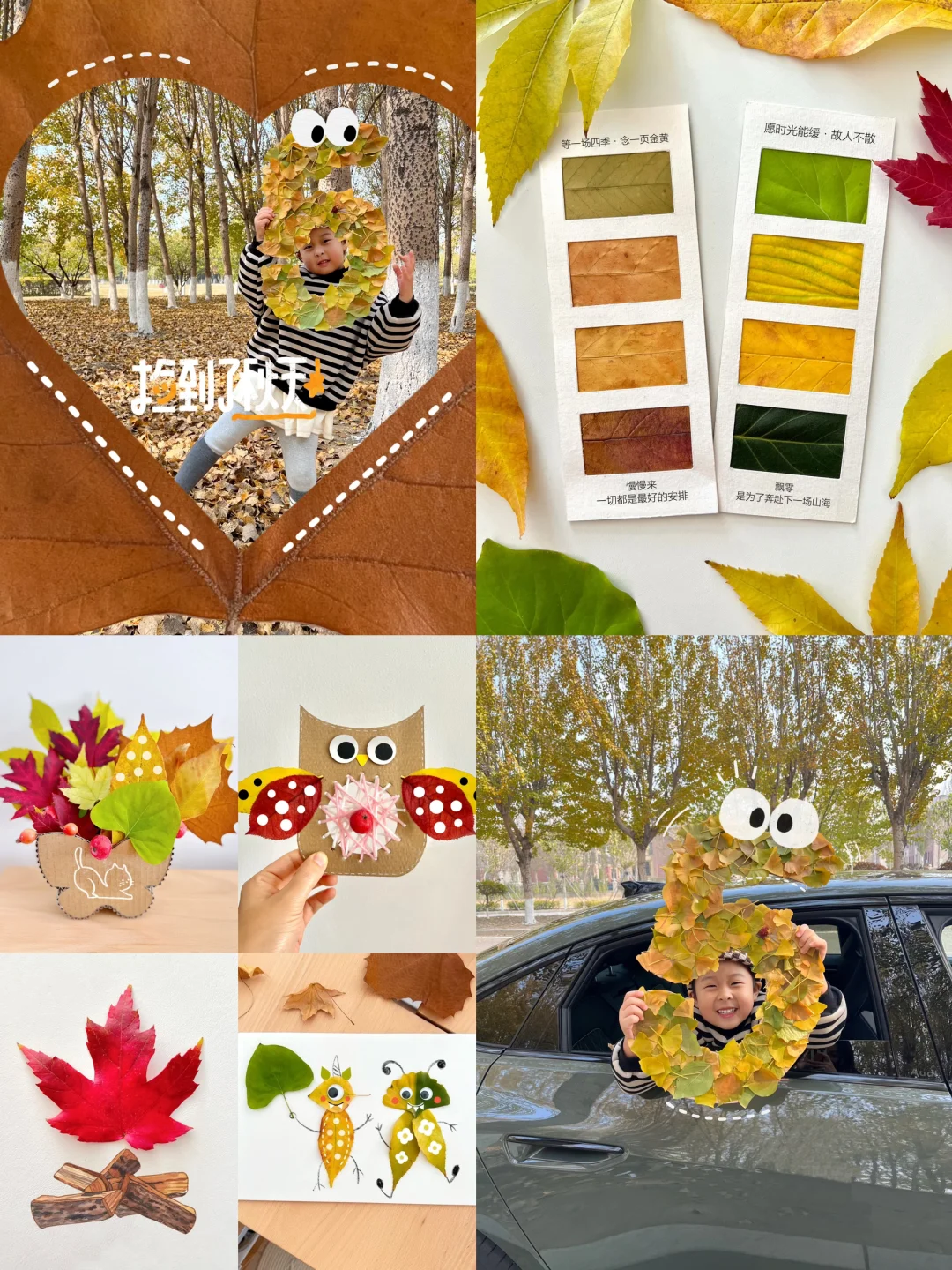 自然美育丨秋天带娃这样玩儿🍂