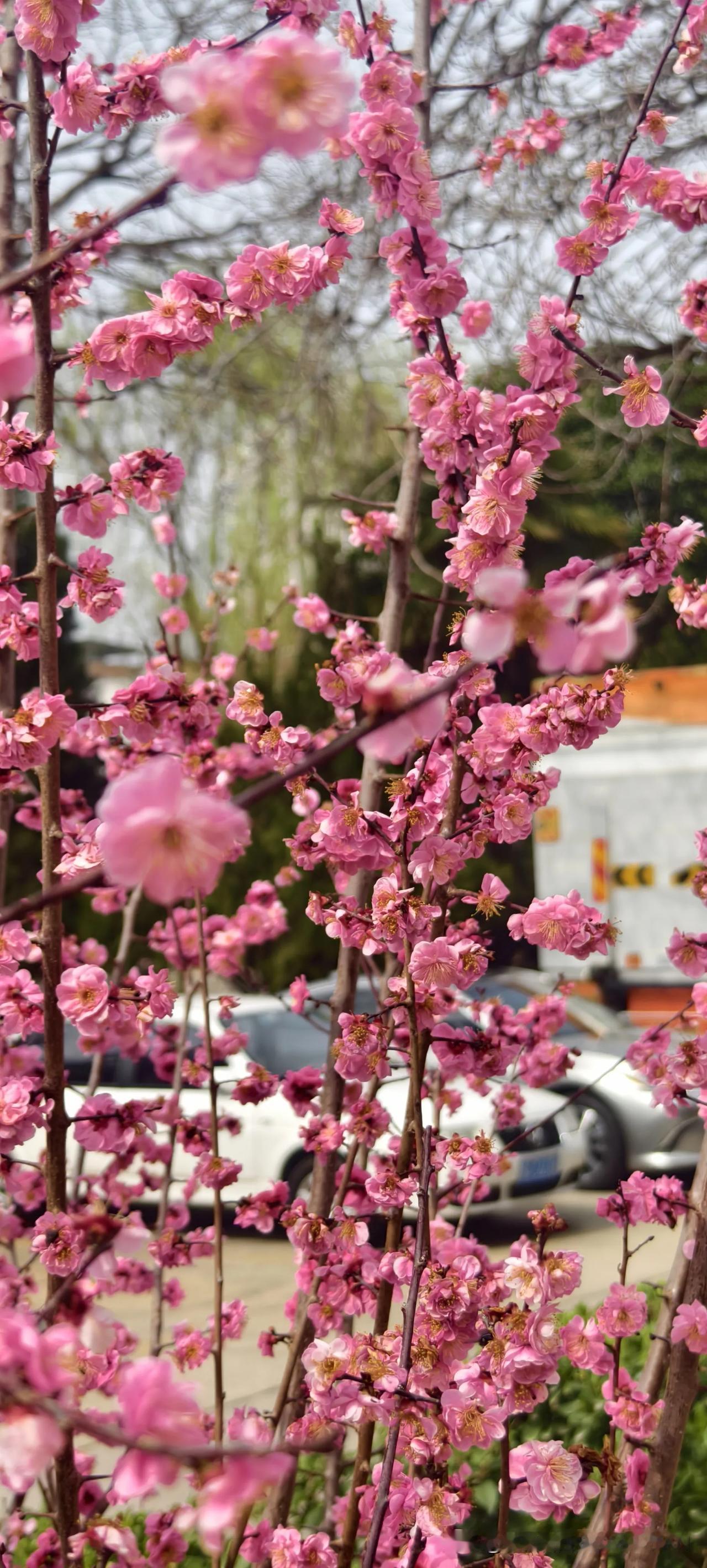 “心还在年味里，身已在工位上”：如何把“年气”变成“底气”？||朋友圈刷屏“开工