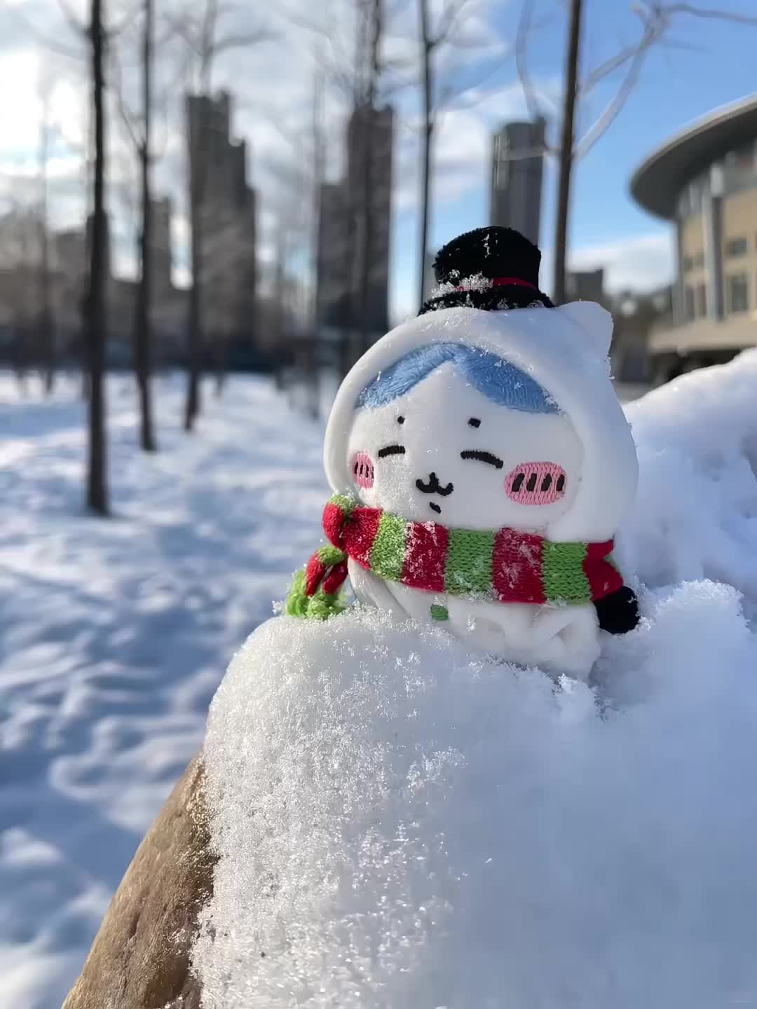 你和雪有个共同点