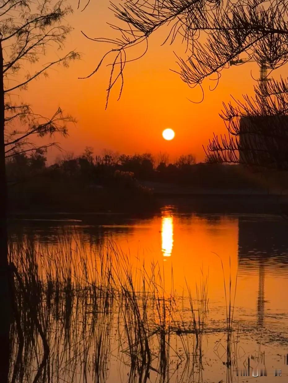 生活很匆忙，别错过日落和夕阳。
告诉你一个秘密，
喜欢日出和日落的人运气不会差。