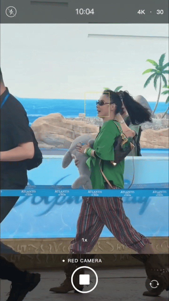 三亚偶遇张柏芝 网友在三亚亚特兰蒂斯偶遇张柏芝，她抱着海豚抱枕蹦蹦跳跳，活力满满