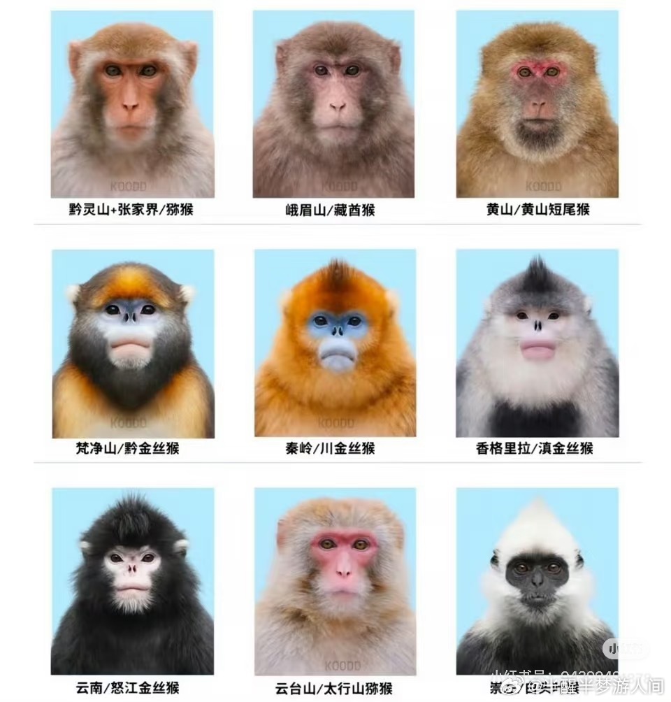 电影年会不能停2 一键进入众和年会分会场 Ben总，这是这次应聘人员的简历，您看