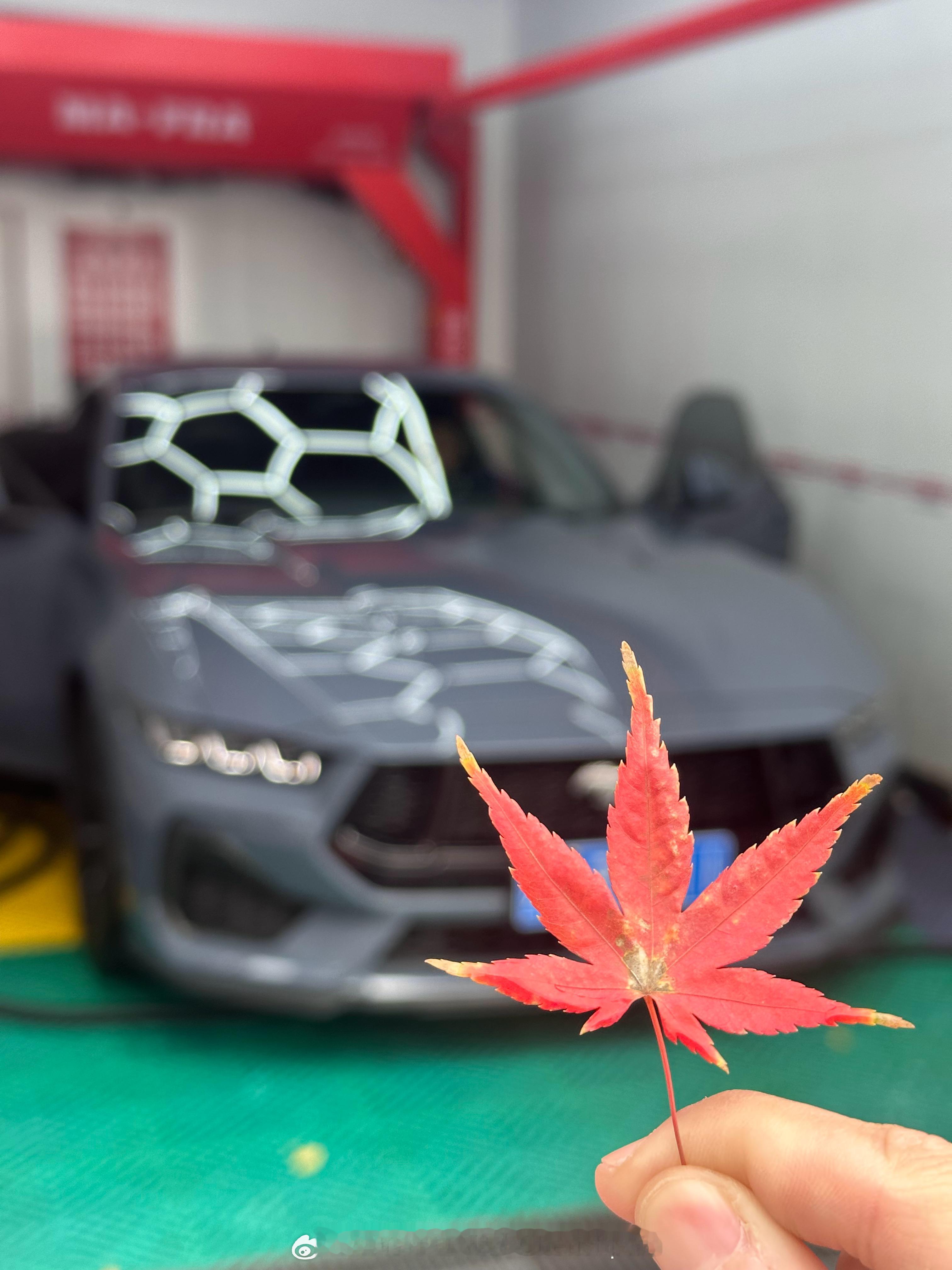 友友们，又是面朝黄土背朝天的一天，初冬的早晨，我已经跋涉到南京了 南京·紫金山