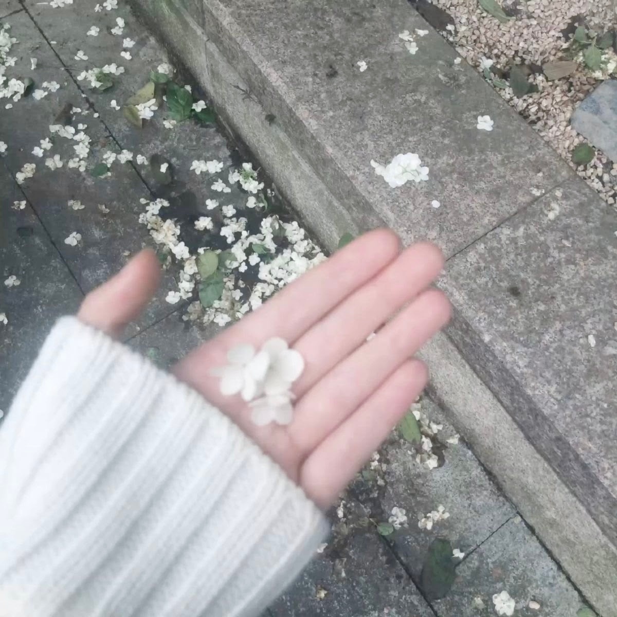 記忆是座荒島 