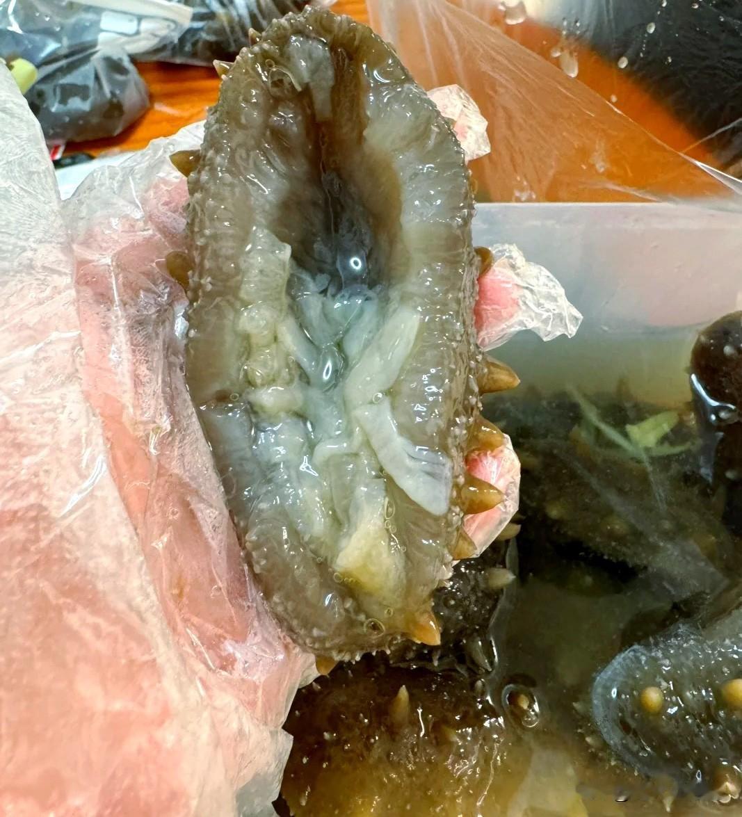 不要随便去吃那些便宜的即食海参。
海参这东西还是那句话我整天叨叨，你们听就听不听