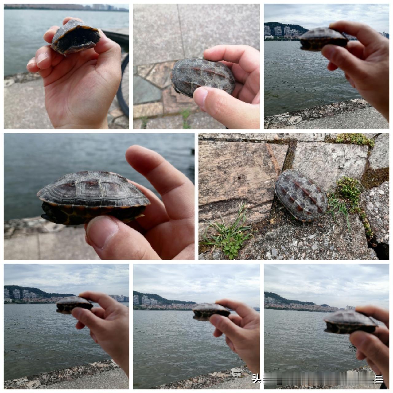 没有乌龟壳的铠甲，
禁不住，又一次爆锤。你的铠甲还行吗？[流泪]



A股集体