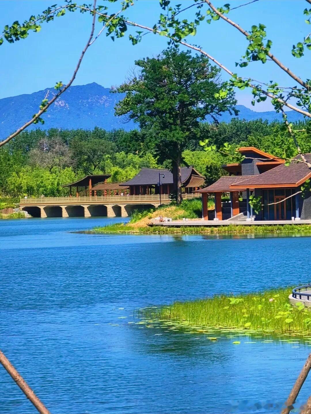 北京免费宝藏公园安利✨海淀玉河湿地公园，去年全新开放还拿下伦敦设计金奖，全程免门