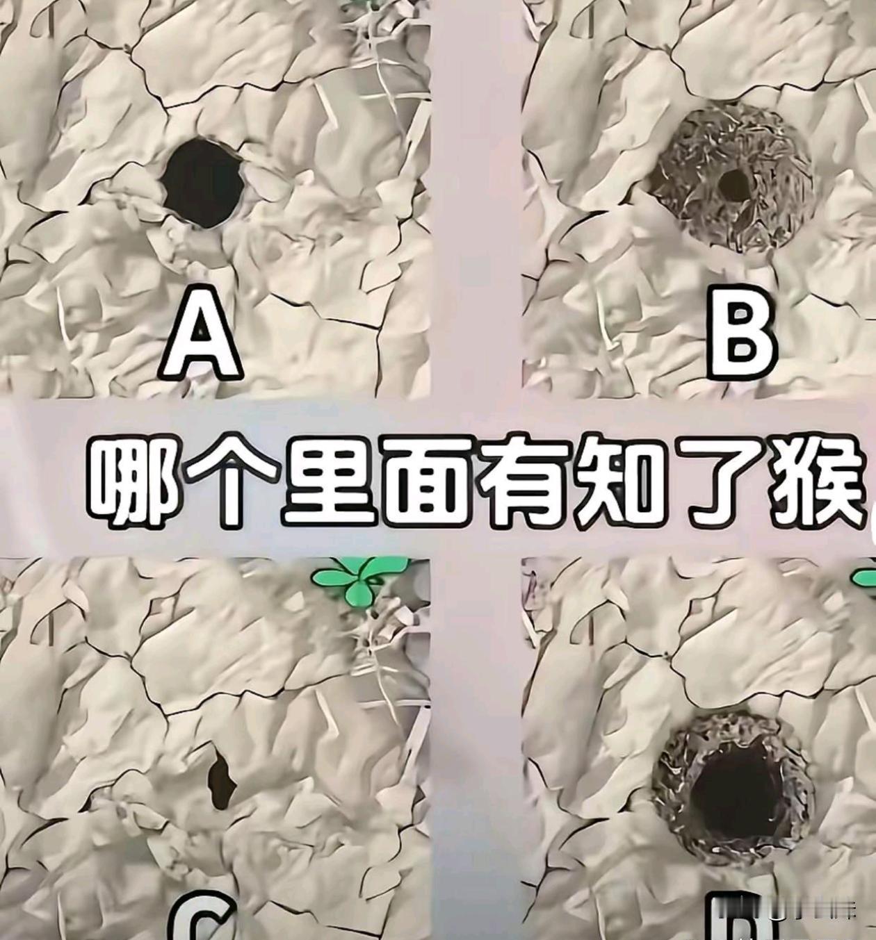 那么请问那个里面有知了猴