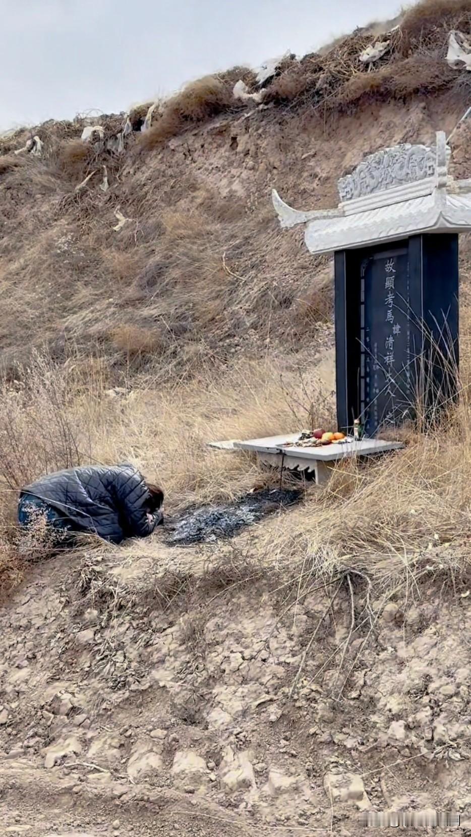 又是一年清明，爸爸，转眼五年了。我真的好想，在这个世上再听你亲口说一句：别怕。趴