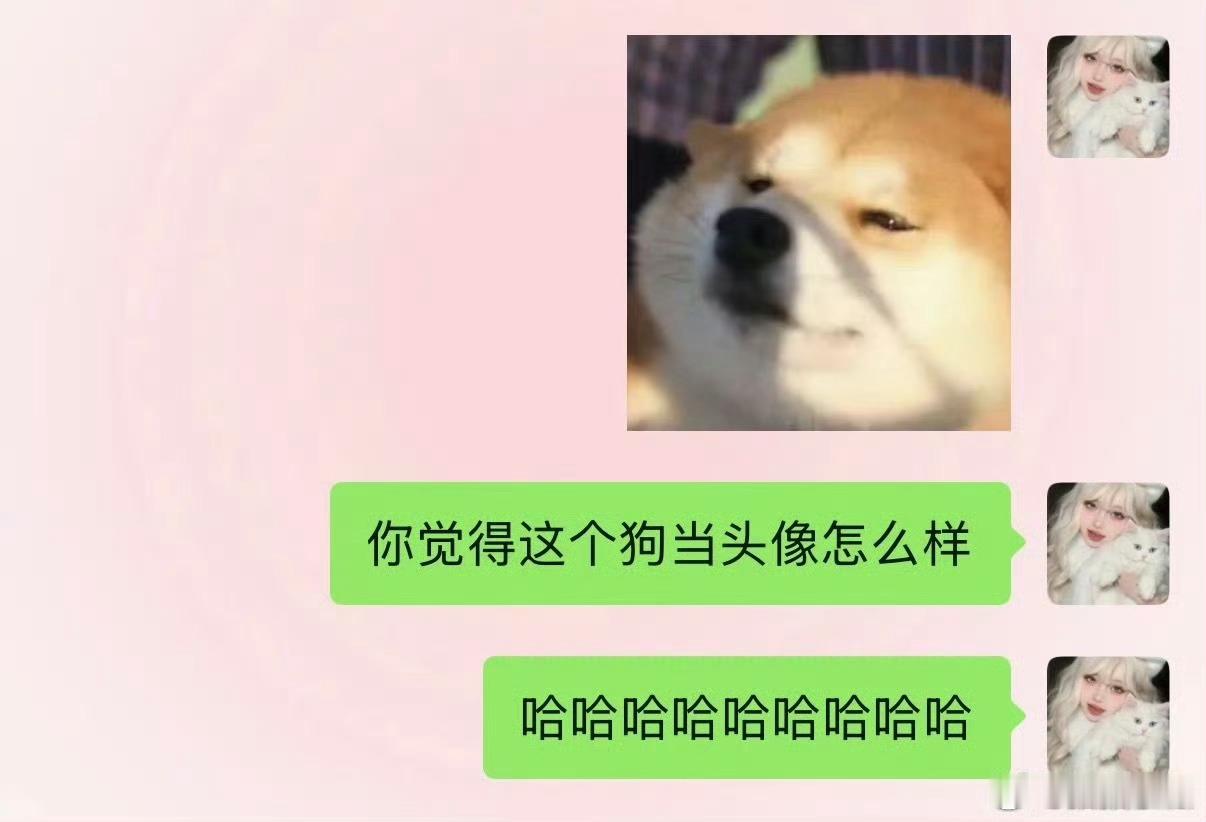 头像真的很影响聊天欲，我已经看头像默认对面的年纪。比如用一些花花草草的就感觉我妈