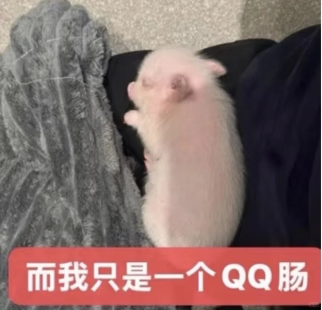 完全睡美了然后醒了 