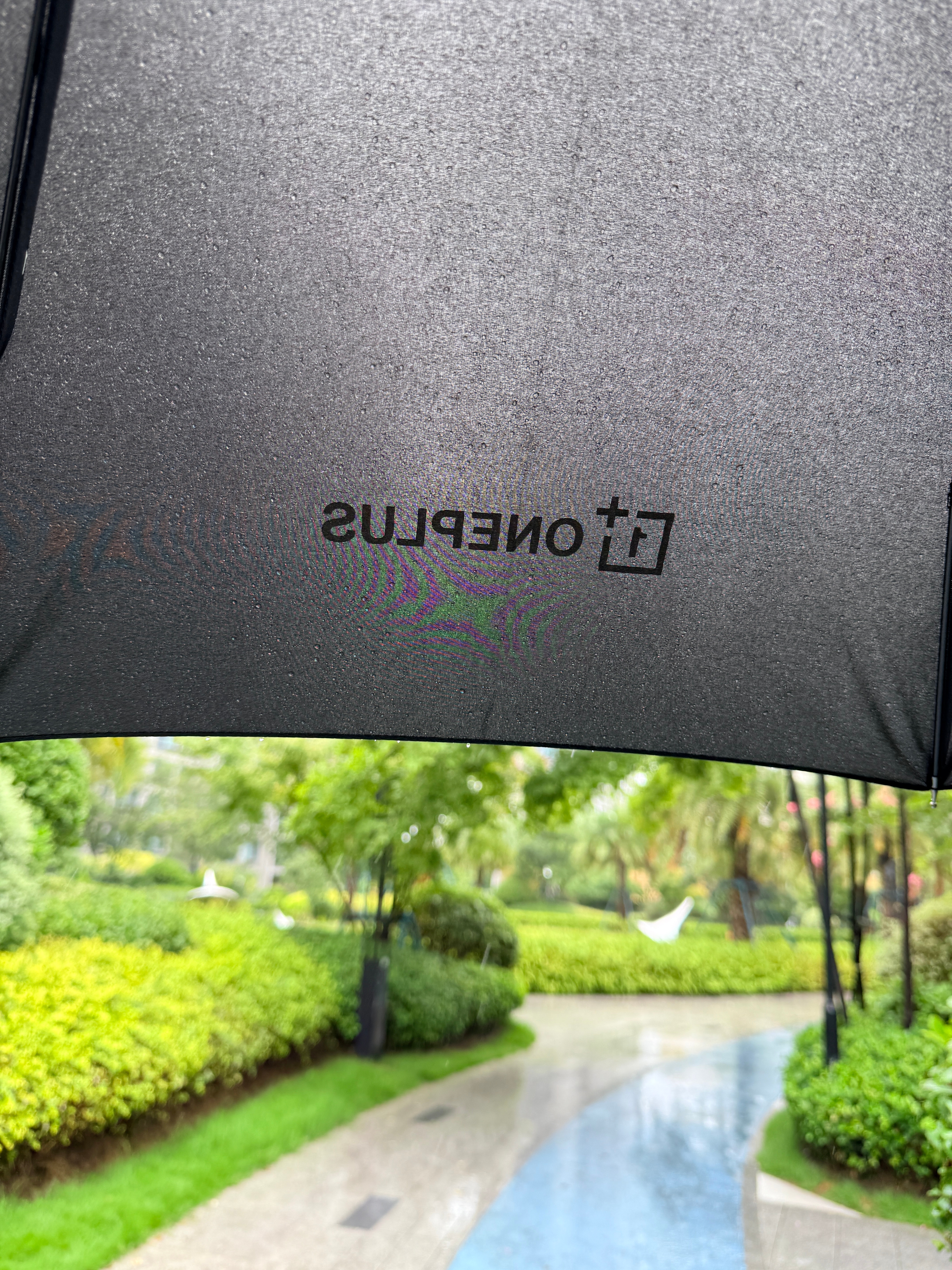 有这个雨伞，感觉自己稳得一批白海豚最大可能登陆地点白海豚最大可能登陆地点