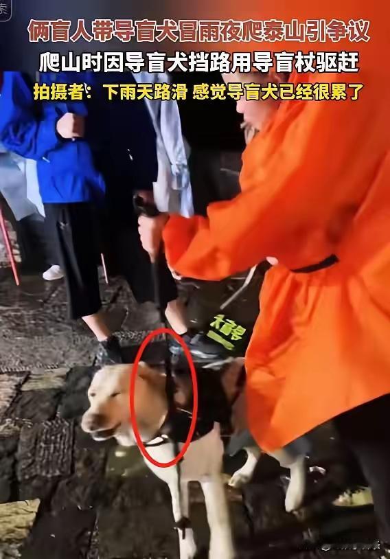 必须给导盲犬基地点个大赞！
回应快、决策硬，直接把狗收回来，太解气了！
 
我自