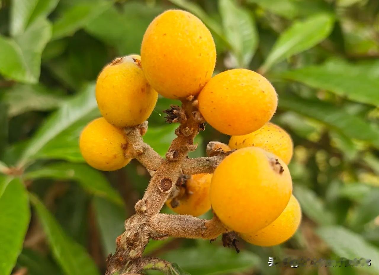 一位上市药店的董事长说:
未来药店不能单纯的卖药，还要卖“笑”！

很多药店店员