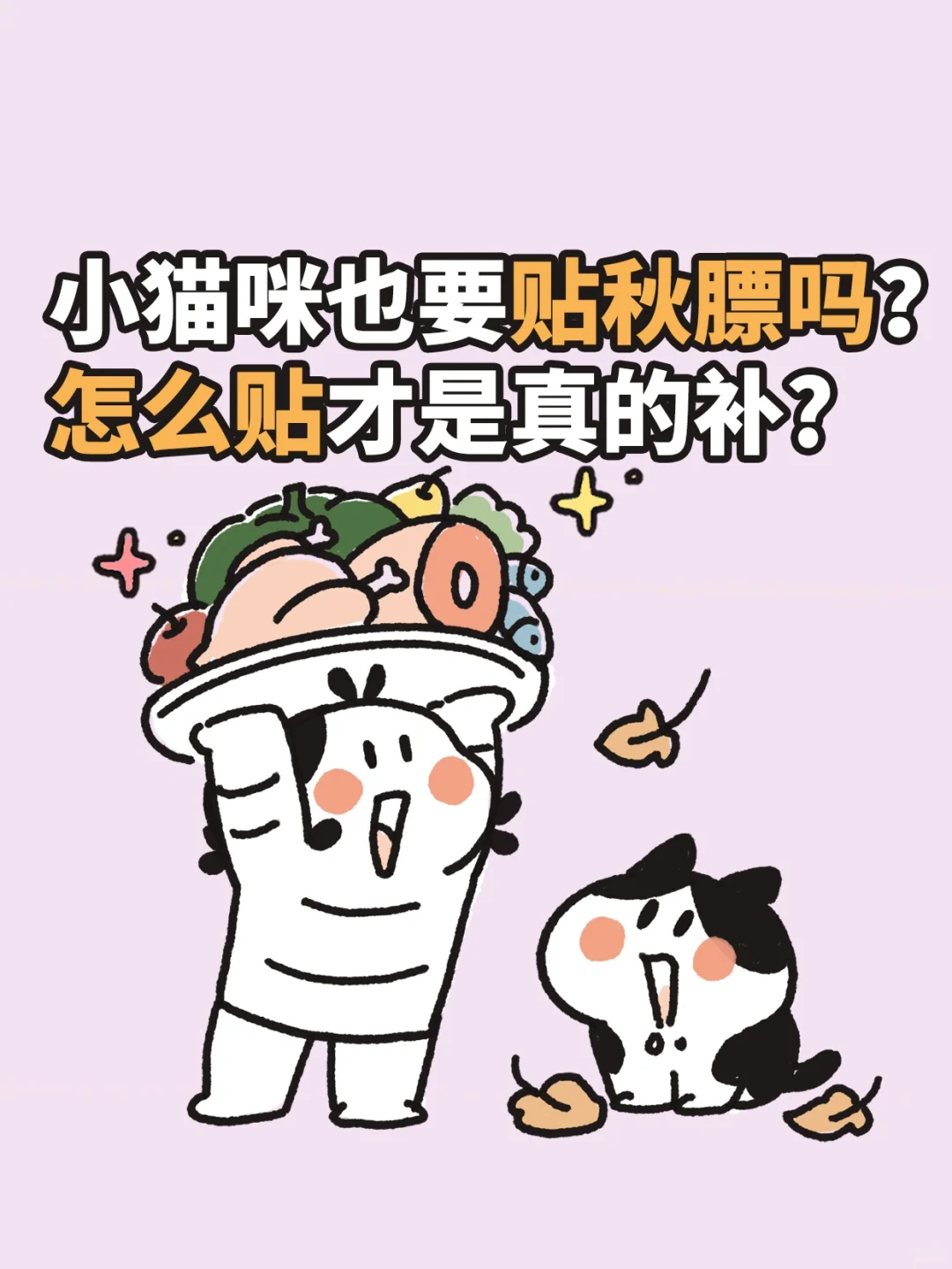 小猫咪也要贴秋膘吗？怎么贴才是真的补?