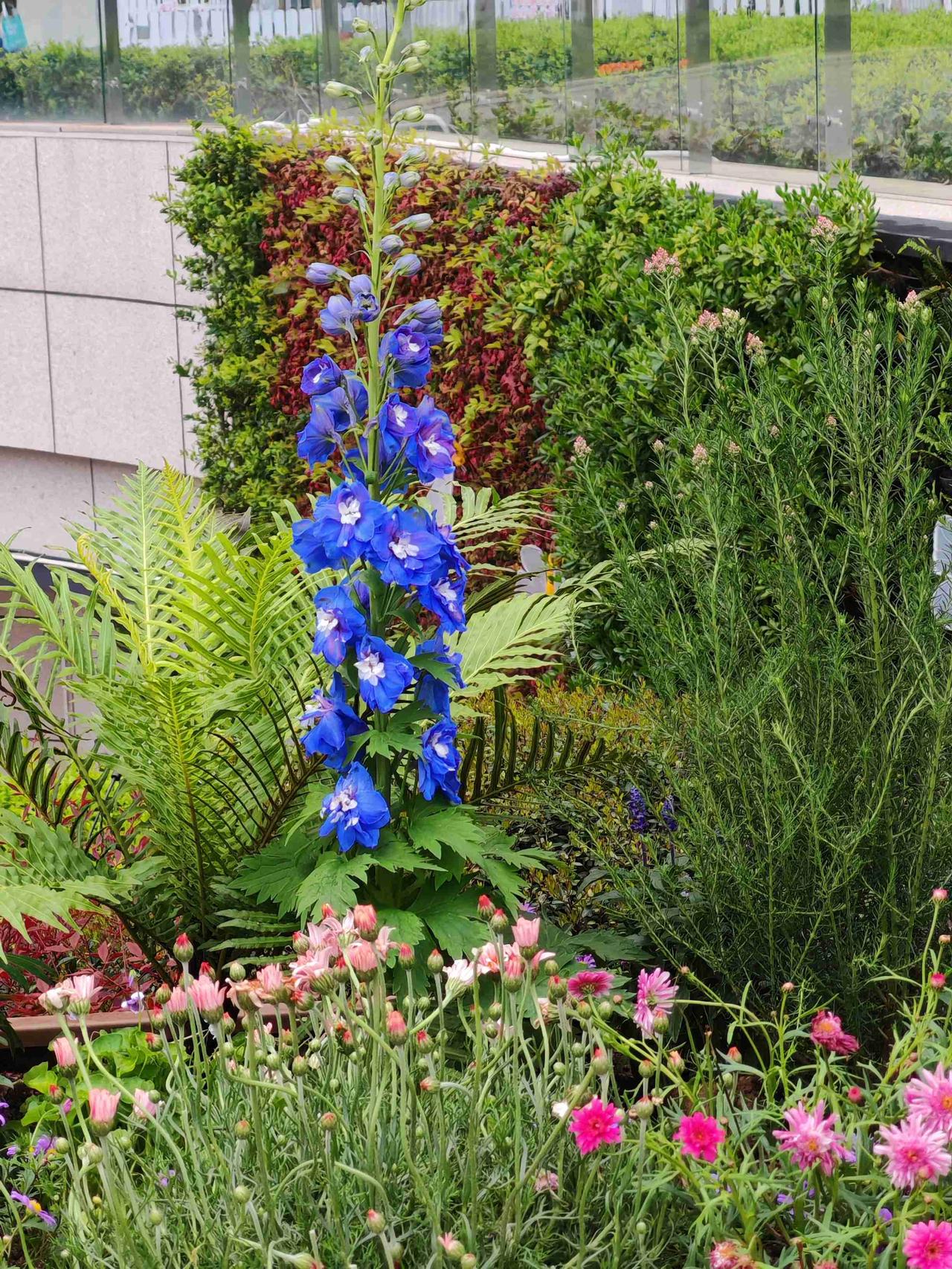 我的今日状态：😁轻松愉快
我这里的天气：🌧下雨