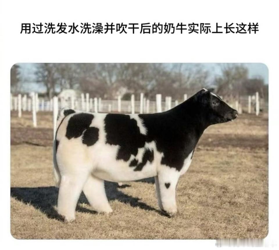 审美积累 